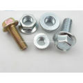 Stainless Steel Flange Nuts